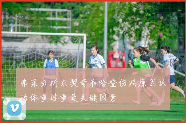 弗莱分析东契奇和哈登伤病原因认为体重过重是关键因素
