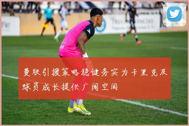 曼联引援策略稳健务实为卡里克及球员成长提供广阔空间